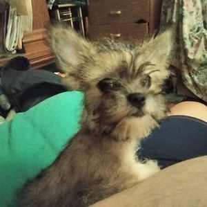 Meet your Posher, Stephen